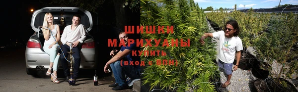 соль курить ск Бородино