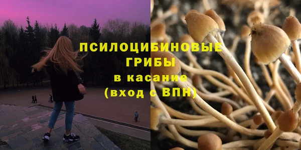 соль курить ск Бородино