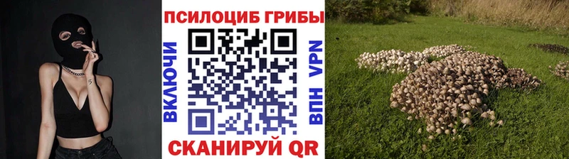 купить наркотики цена  OMG онион  Галлюциногенные грибы GOLDEN TEACHER  Ленинск 